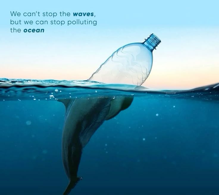 Marine conservation impact